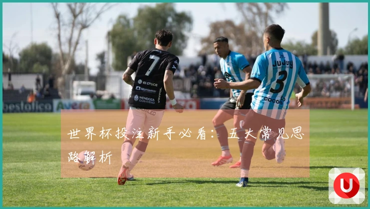 世界杯投注新手必看：五大常见思路解析