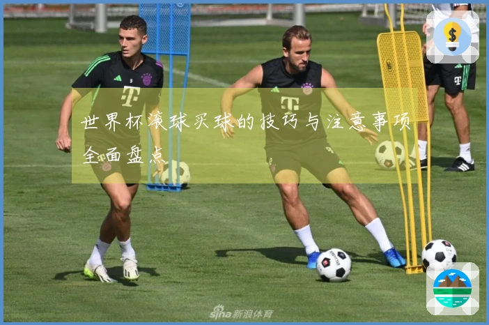 世界杯滚球买球的技巧与注意事项全面盘点