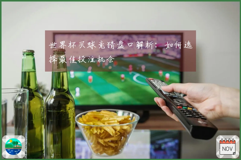 世界杯买球竞猜盘口解析：如何选择最佳投注机会