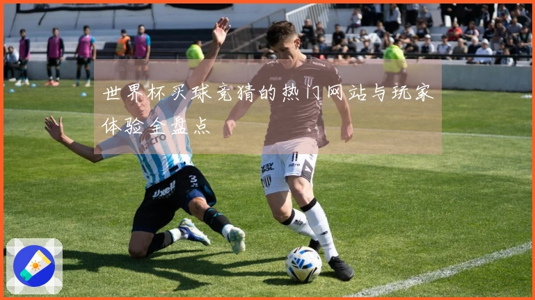 世界杯买球竞猜的热门网站与玩家体验全盘点