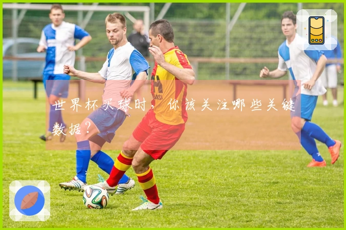 世界杯买球时，你该关注哪些关键数据？