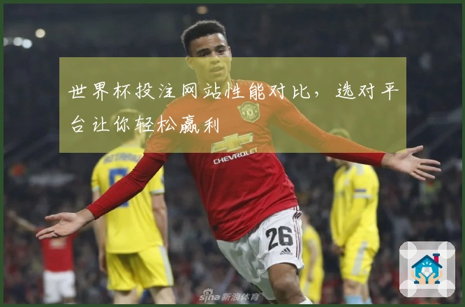 世界杯投注网站性能对比，选对平台让你轻松赢利