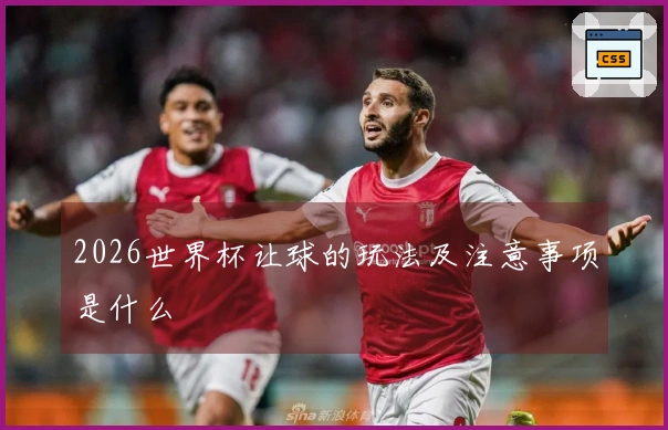 2026世界杯让球的玩法及注意事项是什么