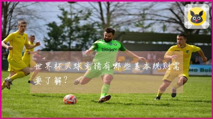世界杯买球竞猜有哪些基本规则需要了解？