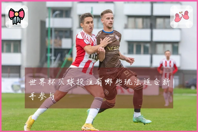 世界杯买球投注有哪些玩法适合新手参与