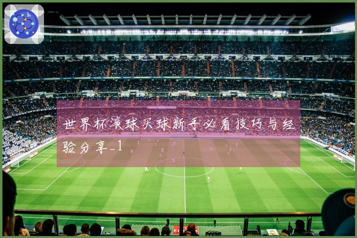 世界杯滚球买球新手必看技巧与经验分享_1