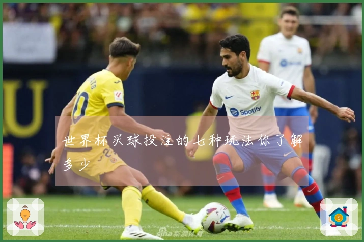 世界杯买球投注的七种玩法你了解多少