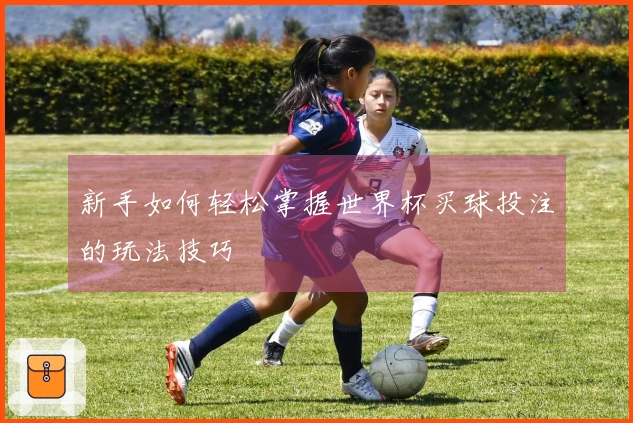 新手如何轻松掌握世界杯买球投注的玩法技巧