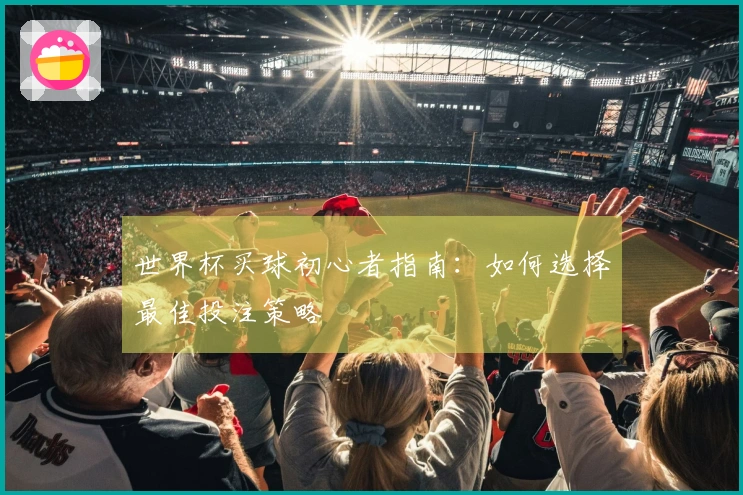 世界杯买球初心者指南：如何选择最佳投注策略