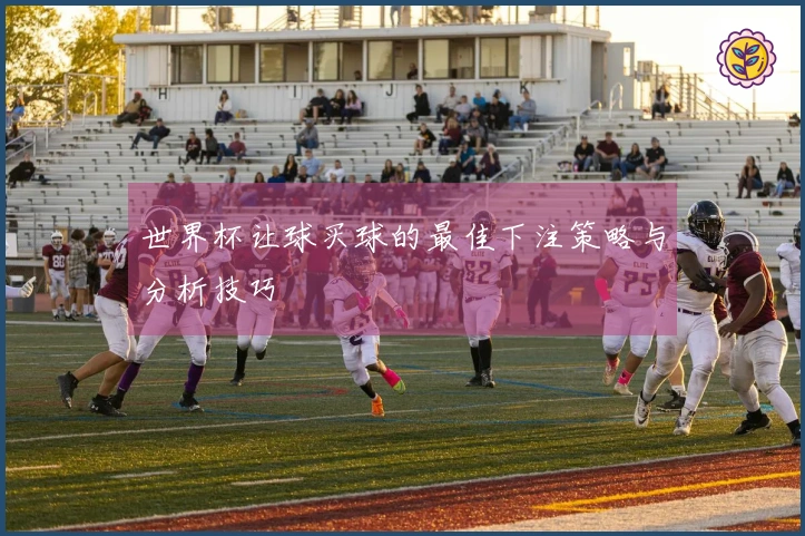 世界杯让球买球的最佳下注策略与分析技巧