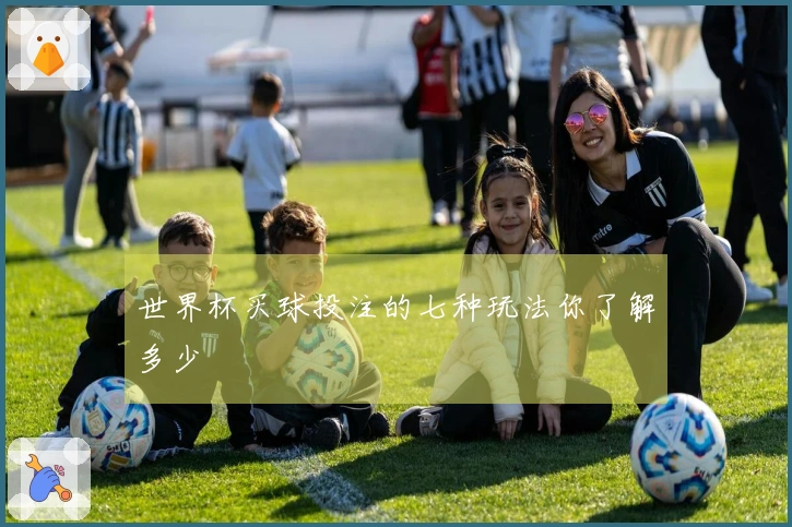 世界杯买球投注的七种玩法你了解多少