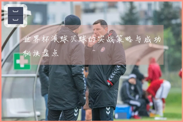 世界杯滚球买球的实战策略与成功秘诀盘点