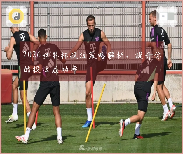 2026世界杯投注策略解析，提升你的投注成功率